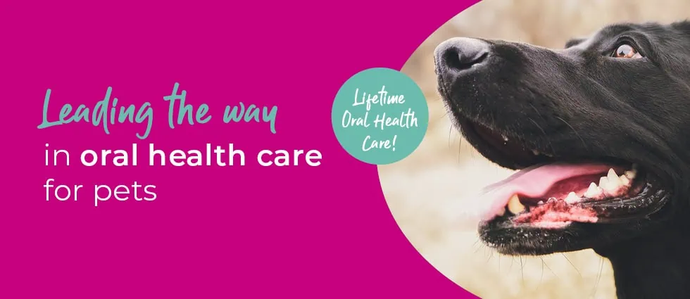 Lida Vets In Newmarket | Vets In Suffolk