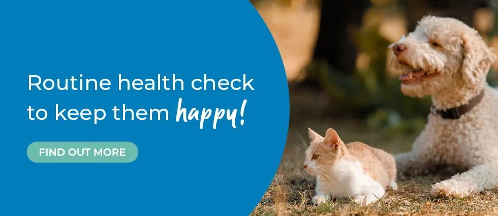 Lida Vets In Newmarket | Vets In Suffolk