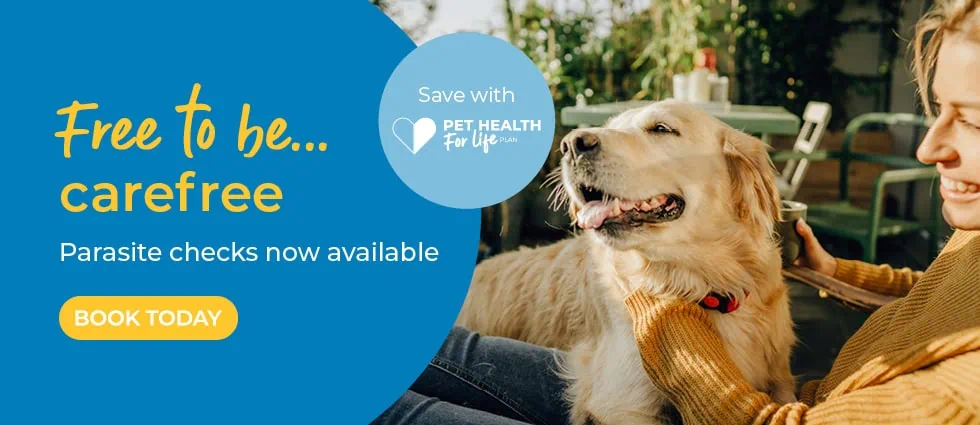 Lida Vets In Newmarket | Vets In Suffolk