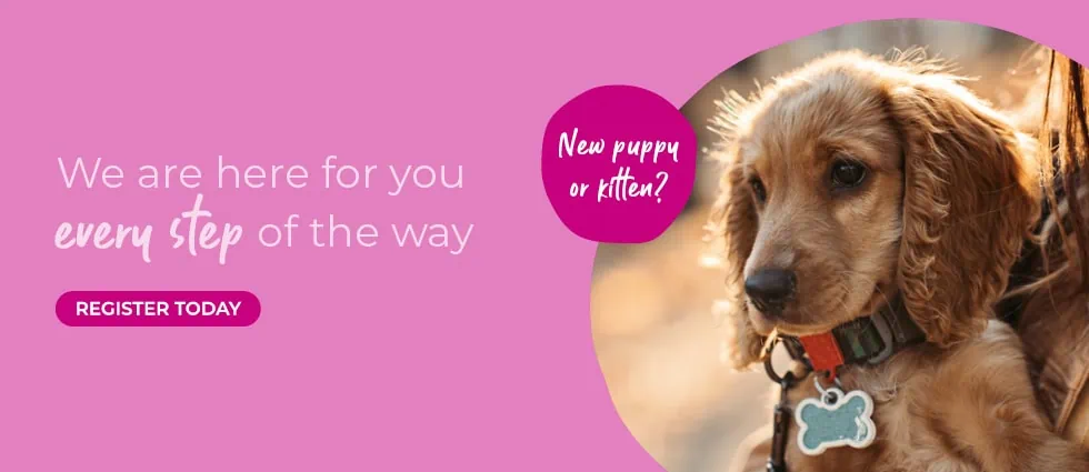 Lida Vets In Newmarket | Vets In Suffolk