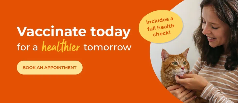 Lida Vets In Newmarket | Vets In Suffolk